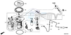 TRX500FM5F TRX500FM Europe Direct - (ED) drawing FUEL PUMP