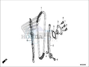 CRF450RH Europe Direct - (ED) drawing CAM CHAIN/TENSIONER