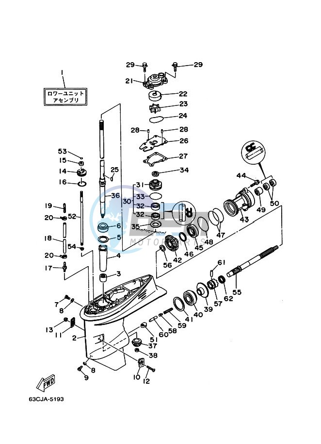 LOWER-CASING-x-DRIVE-1