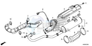 TRX500FM5G TRX500FM Australia - (U) drawing EXHAUST MUFFLER