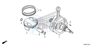 CRF450RD CRF450R Europe Direct - (ED) drawing CRANKSHAFT/PISTON