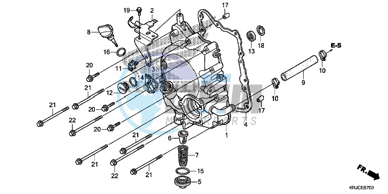 RIGHT CRANKCASE COVER