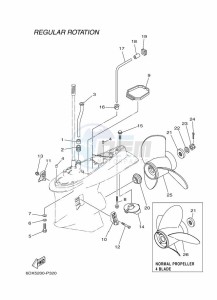 F250GETU drawing PROPELLER-HOUSING-AND-TRANSMISSION-2