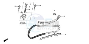 SH300 drawing CAM CHAIN