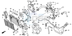 NTV650 drawing RADIATOR