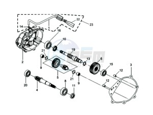 GTS 250 EVO drawing CRANKCASE - DRIVE SHAFT