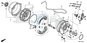 TRX420TM1H Europe Direct - (ED) drawing REAR BRAKE PANEL