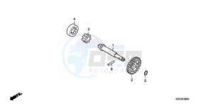 CRF150R9 Australia - (U) drawing OIL PUMP