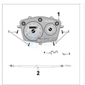 KISBEE RS drawing SPEEDO