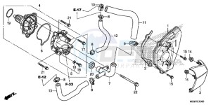 CB600FD Hornet 3ED drawing WATER PUMP