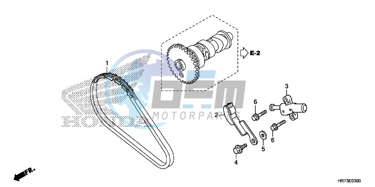 CAM CHAIN/ TENSIONER