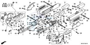 GL1800F GoldWing - GL1800-F 2ED - (2ED) drawing EXHAUST MUFFLER (EXCEPT GL1800 BR)