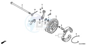 CRF50F9 Australia - (U) drawing REAR BRAKE PANEL