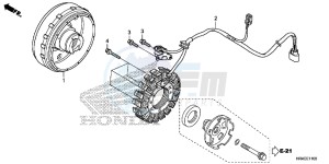 TRX500FM1H TRX500 ED drawing GENERATOR