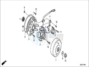 CRF50FH Europe Direct - (ED) drawing GENERATOR