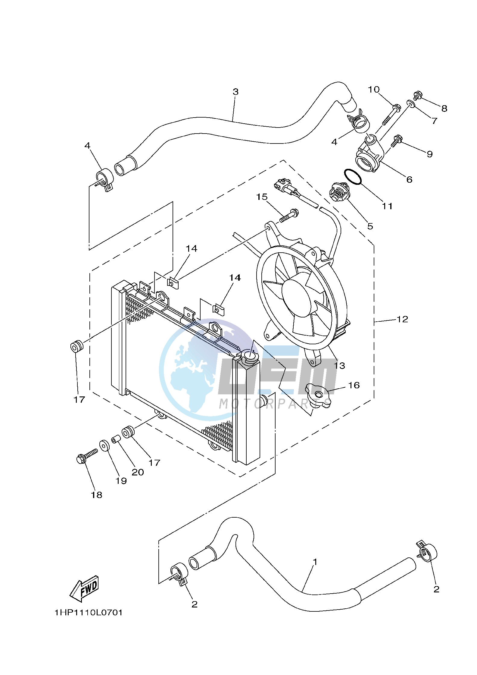 RADIATOR & HOSE