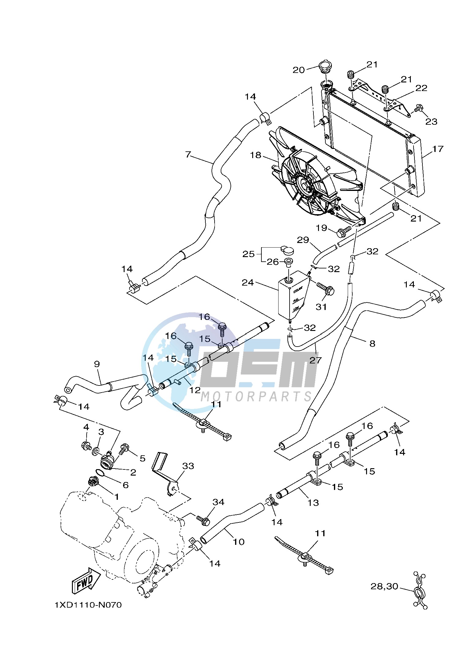 RADIATOR & HOSE