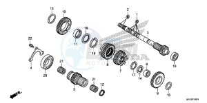 NC750XDE NC750XD Europe Direct - (ED) drawing TRANSMISSION (MAINSHAFT) (NC700XD/ 750XD)