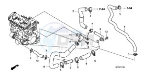 CBF10009 Europe Direct - (ED) drawing WATER PIPE