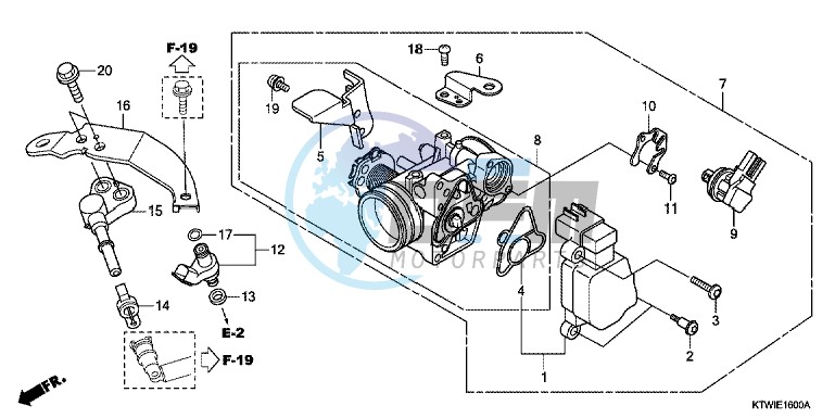 THROTTLE BODY