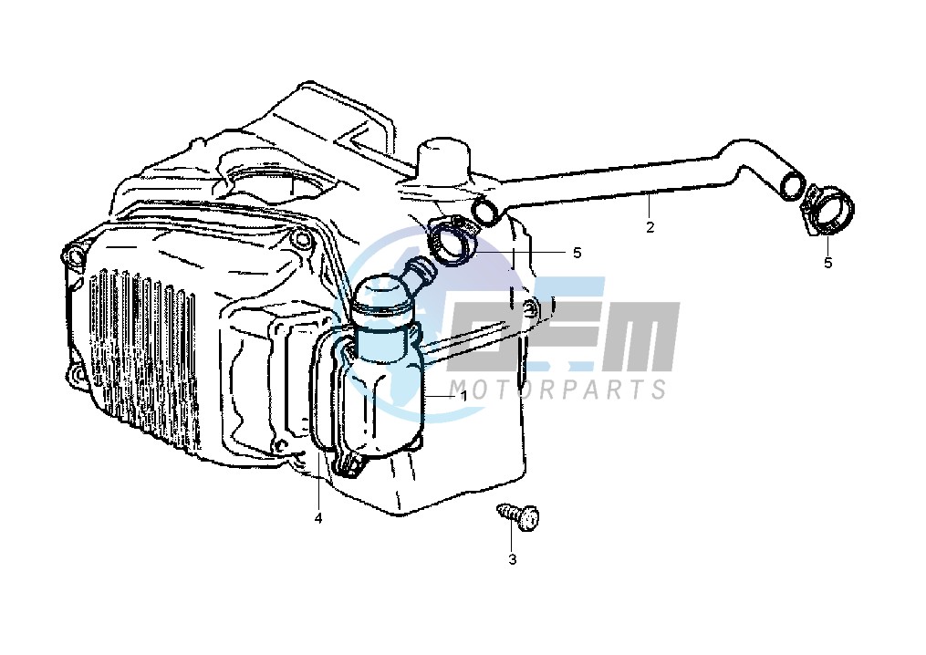 Oil drain valve