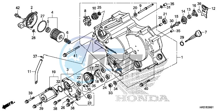 FRONT CRANKCASE COVER (TRX420FE1/FM1/FM2/TE1/TM1)