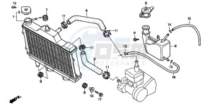 NSR50R drawing RADIATOR