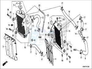 CRF250RH Europe Direct - (ED) drawing RADIATOR