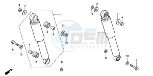 C50S drawing REAR CUSHION (C50P/C50T)