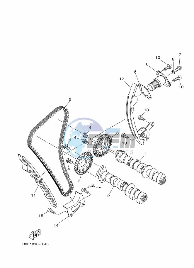 CAMSHAFT & CHAIN