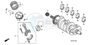 CB600FA39 France - (F / ABS CMF ST) drawing CRANKSHAFT/PISTON