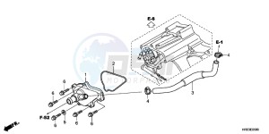 TRX500FPEC drawing WATER PUMP COVER