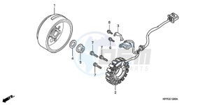 CBR125RW9 Europe Direct - (ED / WH) drawing GENERATOR