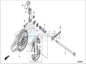 CRF125FBH Europe Direct - (ED) drawing REAR BRAKE PANEL