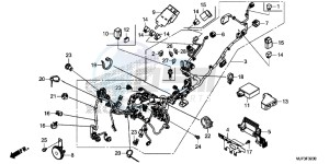 CRF1000G CRF1000 - Africa Twin Europe Direct - (ED) drawing WIRE HARNESS