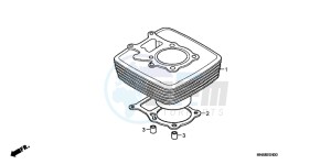 TRX250XD TRX250X Australia - (U) drawing CYLINDER