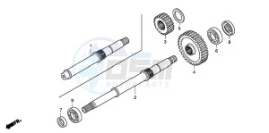 TRX420TM FOURTRAX drawing FINAL SHAFT