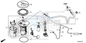 TRX500FM6F TRX500FM Australia - (U) drawing FUEL PUMP