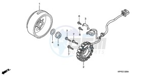 CBR125RWA UK - (E / WH) drawing GENERATOR