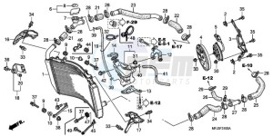 CBR600RRA E drawing RADIATOR