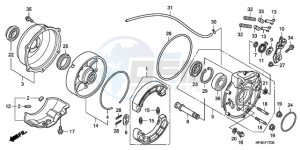 TRX420FMA Europe Direct - (ED / 2ED 4WD) drawing REAR BRAKE PANEL