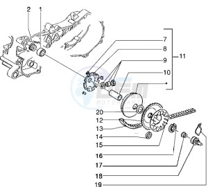 Typhoon 50 XR drawing Driving pulley