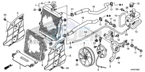 TRX420FED TRX420 Europe Direct - (ED) drawing RADIATOR