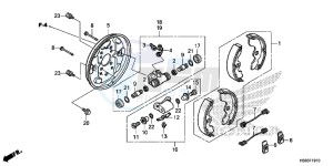 TRX250TMH Europe Direct - (ED) drawing FRONT BRAKE PANEL