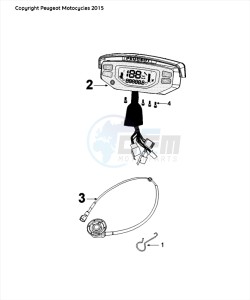 FIGHT 4 50 2T DARKSIDE drawing SPEEDO