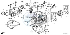 TRX500FPMC drawing CYLINDER HEAD