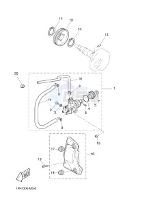 NS50 AEROX (1PH1 1PH1 1PH1) drawing OIL PUMP