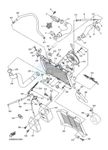 XJ6N 600 XJ6-N (NAKED) (20SL 20SM) drawing RADIATOR & HOSE