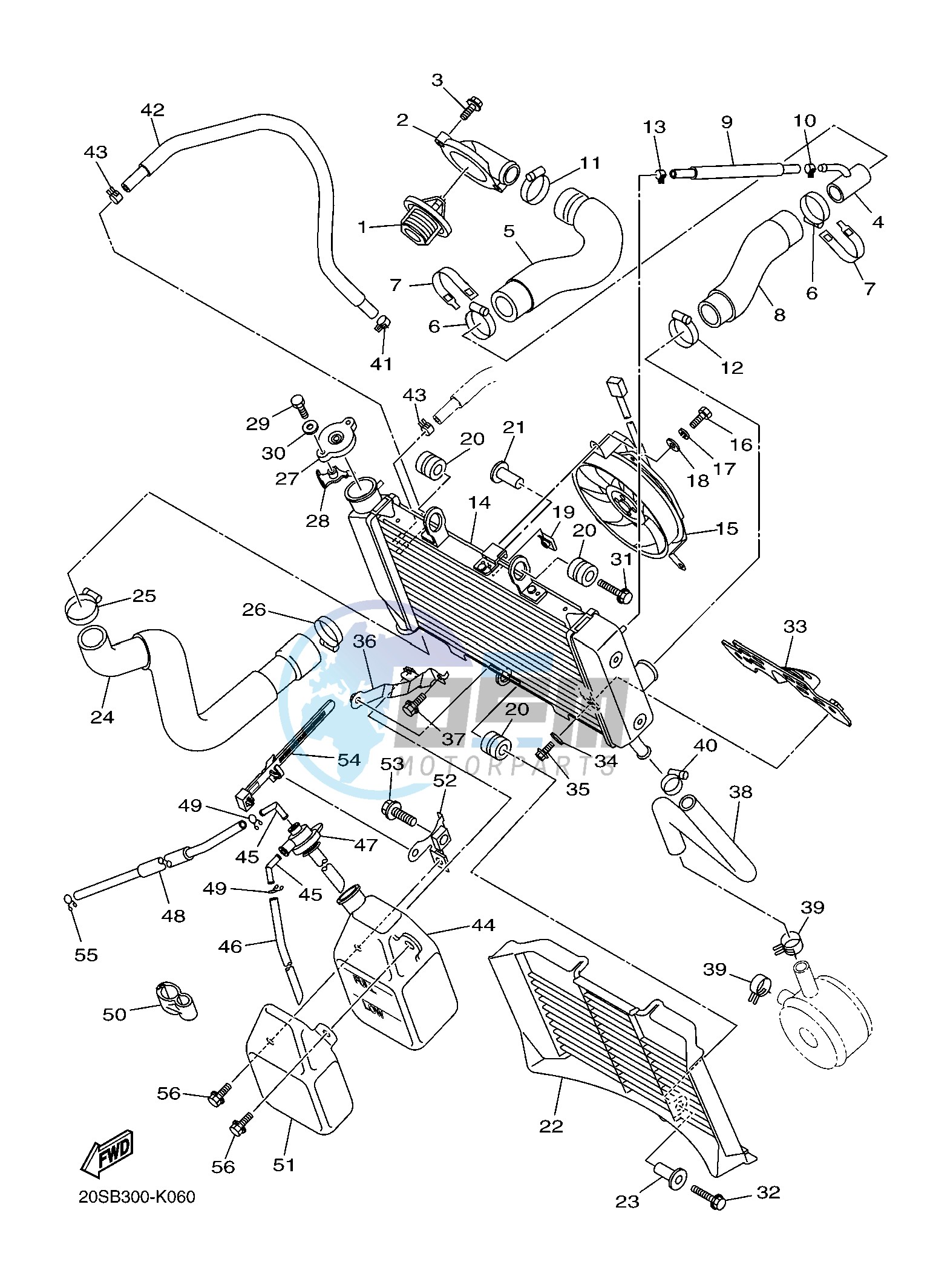 RADIATOR & HOSE