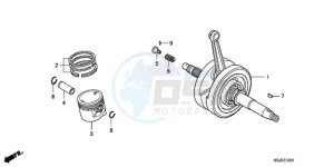 CRF100F9 Australia - (U) drawing CRANKSHAFT/PISTON (CRF100F)